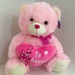 BH Flores - Urso Te Amo Rosa
