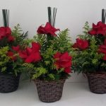 BH Flores - Centros de Mesa – Com Rosas (valor unitário)