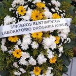 BH Flores - Coroa N1