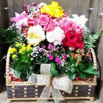 BH Flores - Cesta Encanto de Flores