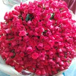 BH Flores - BOUQUET 500 ROSAS – PARA SE APAIXONAR