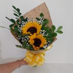 BH Flores - Mimo de Girassóis