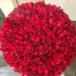 BH Flores - Bouquet 500 rosas vermelhas – MARAVILHOSO