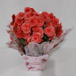 BH Flores - Vaso de Begônia